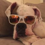Matthew Tull - @tull.matthew - Instagram