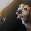 itsscottu - @matthewupdike7 - TikTok