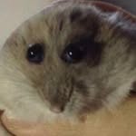 Matthew Valadez - @doomnut512 - Instagram