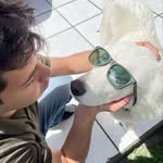 Matthew Vallejo - @mattvallejoo - Instagram