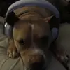 Matthew Vallejo - @matthew_vallejo - TikTok