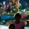 matthewvallejo220 - @matthewvallejo220 - TikTok