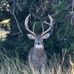 Matt Vanek - Facebook