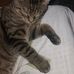 Matthew van Ek - Facebook
