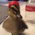 FlowAimbot7 - @matthew_van_pelt746 - Instagram