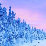 Matthew Venter - @ma.tthew2165 - Instagram