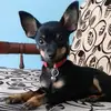Matthew Vera - @matthew_20_11 - TikTok