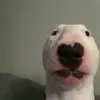 Matthew Vera - @.matiuvera - TikTok