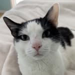 Matt Vovos - @matthew.vovos - Instagram