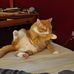 Matthew Vogan - Facebook