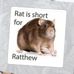 Matthew Vogus - @ratthew15 - Instagram
