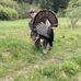 Matthew Vroman - Facebook