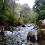 Matthew Wadley - @wadley5038 - Instagram