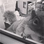 Matthew Wakeman - @halfawakeman - Instagram