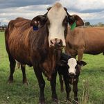 Matt Wareham - @matthew_wareham - Instagram