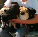 Matt Wehmeyer - Facebook