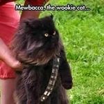 Matthew Weigel - @tk_44449 - Instagram