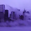 Not_Matthewweikel - @not_matthewweikel - TikTok