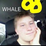 Matthew Whaley - @neverlonelywithyou - Instagram