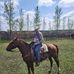 Matthew Wiberg - Facebook