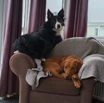 Matthew Wick - Facebook