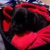 matthewwick297 - @matthewwick297 - TikTok