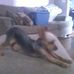 Matthew Wickline - Facebook