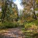 Matthew Wiebe - Facebook