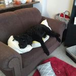Matthew Wiens - @wiens2008 - Instagram