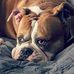 Matthew Wikstrom - Facebook