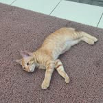 Matthew Wilbert - @matth_ew8898 - Instagram