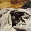 Matthew Wiley - @matthew.wiley72 - TikTok