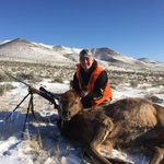Matthew Willadsen - @mwilladsen - Instagram