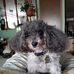 Matthew Willmore - Facebook