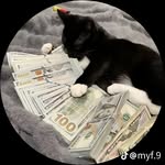 Matthew Willmore - @mattywattyreal - Instagram