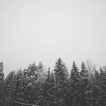 Matthew Wind - @windmatthew - Instagram