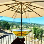 J Matthew Wines - @jmatthewwines - Instagram