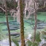 Matthew J Witherow - @matthewjwitherow - Instagram