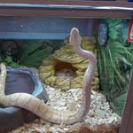 Matthew Wittman - @wittmanmatthew - Instagram