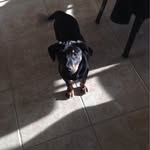 Matthew Wittmann - @matthewwittmann - Instagram