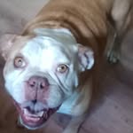 Matthew Wolters - @matthew2008g - Instagram