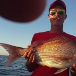 Matthew Woodhams - @woodhamsmatthew - Instagram