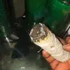 Matthew Works - @matthew.works7 - TikTok