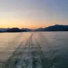 matthew.work - @matthew.work14 - TikTok