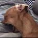 Matthew Wright - Facebook