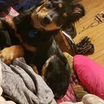 Matthew Wurz - @matthewwurz400 - Instagram