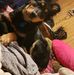 Matthew Wurz - Facebook