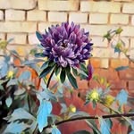 Matthew Zack - @matthew.zack.549 - Instagram
