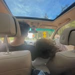 Z - @matthewzarzour - Instagram