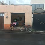 Matthew Zerilli - @matthewzerilli - Instagram